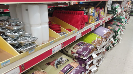 Home Improvement Store «Tractor Supply Co.», reviews and photos, 100 W Ardice Ave #1, Eustis, FL 32726, USA