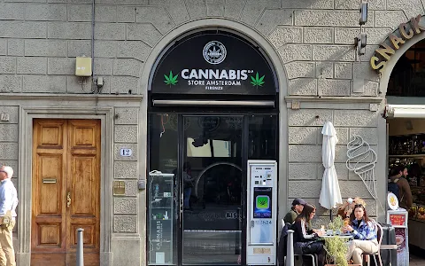 Cannabis Store Amsterdam Firenze image