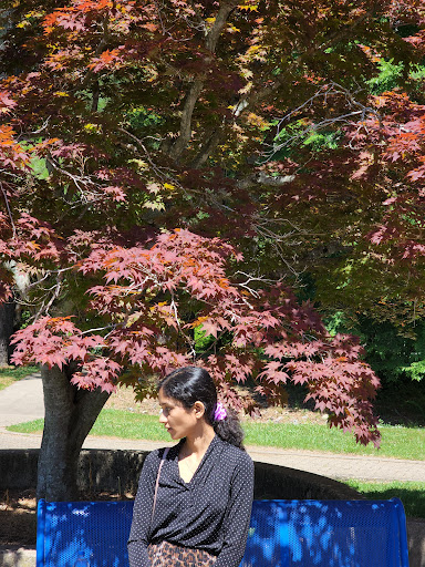 Visitor Center «Golden Pond Visitor Center & Planetarium», reviews and photos, 238 Visitor Center Dr, Golden Pond, KY 42211, USA