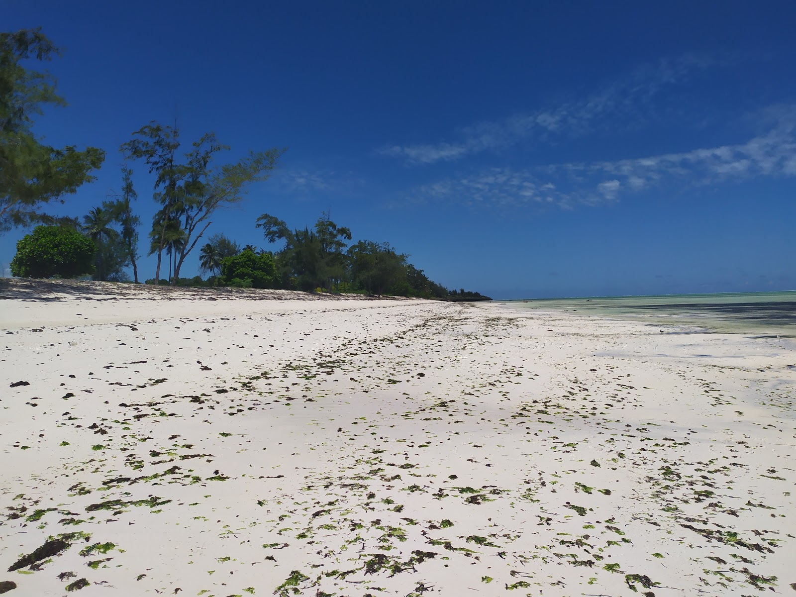 Makunduchi Beach photo #7