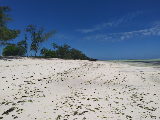 Makunduchi Beach