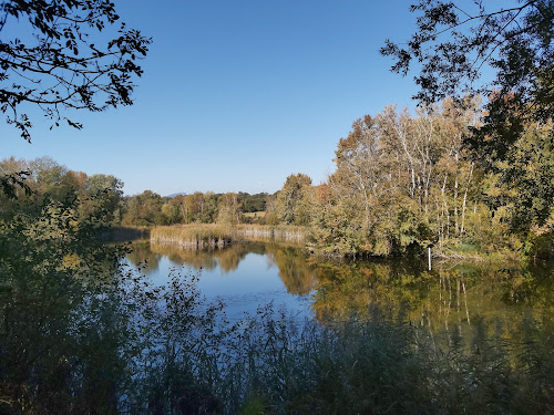 attractions Réserve naturelle régionale de l'étang de Haute-Jarrie Jarrie