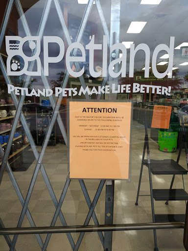 Pet Store «Petland Vineyard - San Antonio», reviews and photos, 1309 North Loop 1604 W #101, San Antonio, TX 78258, USA