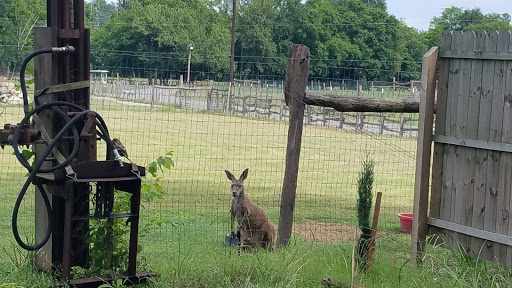 Farm «Pettit Creek Farms», reviews and photos, 337 Cassville Rd, Cartersville, GA 30120, USA