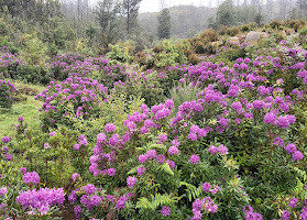 Reserva Botânica Loendros