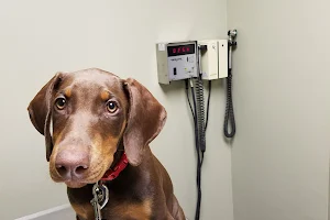 North Main Animal Hospital image