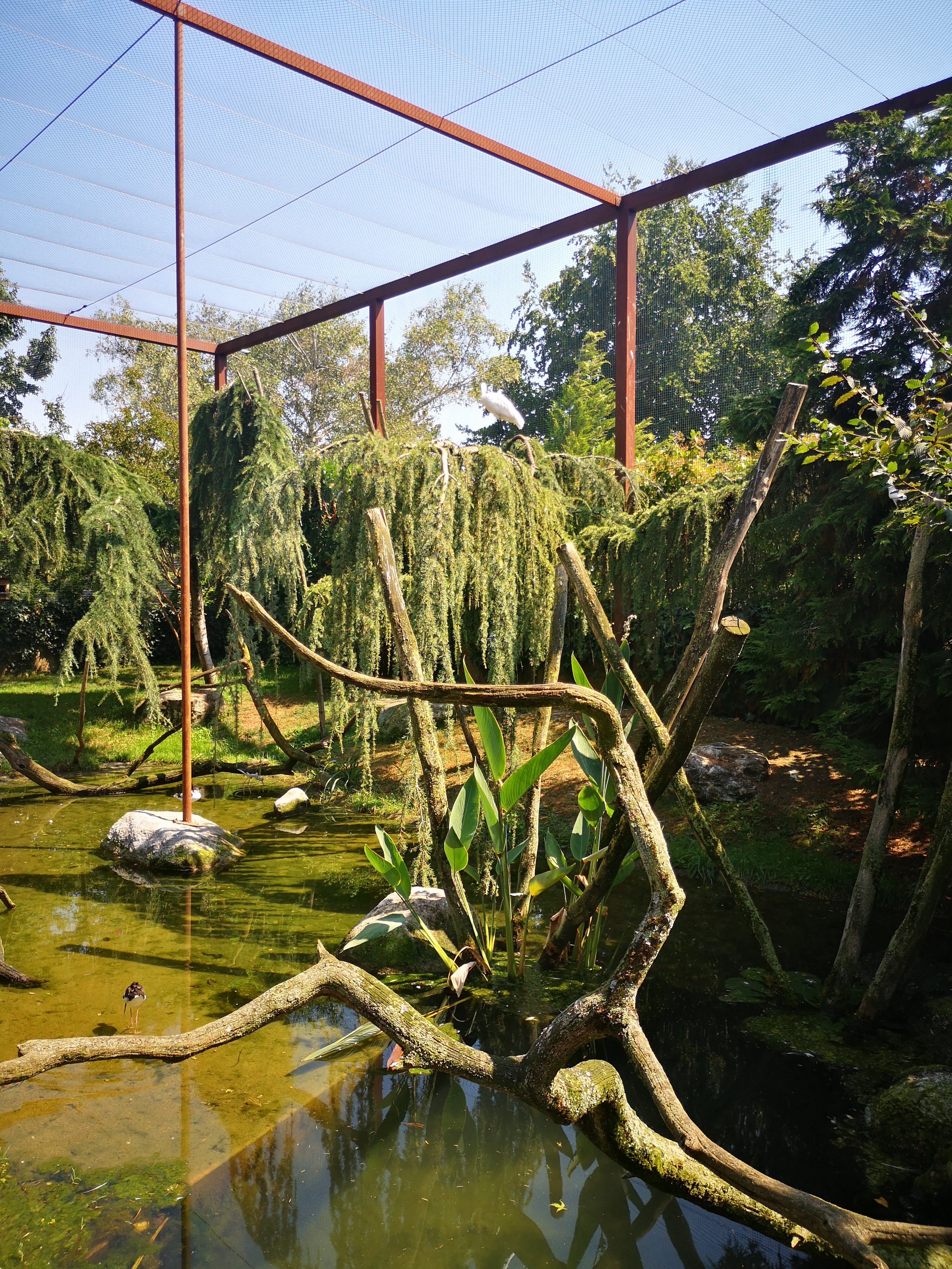 Photo n° 23 de l'avis de Léonie. fait le 26/08/2023 à 20:22