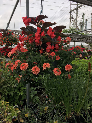 Florist «TG Designs», reviews and photos, 19231 Longmeadow Rd, Hagerstown, MD 21742, USA