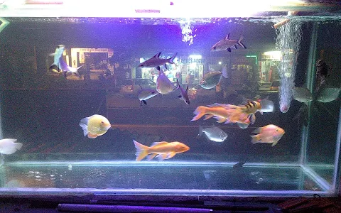 Meen Aquarium image