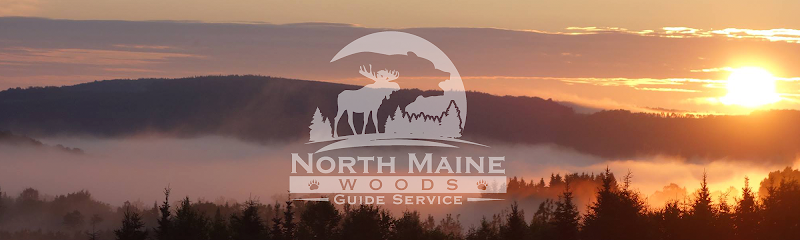 North Maine Woods Guide Service