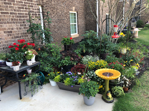 Garden Center «Pike Nurseries», reviews and photos, 615 W Crossville Rd, Roswell, GA 30075, USA