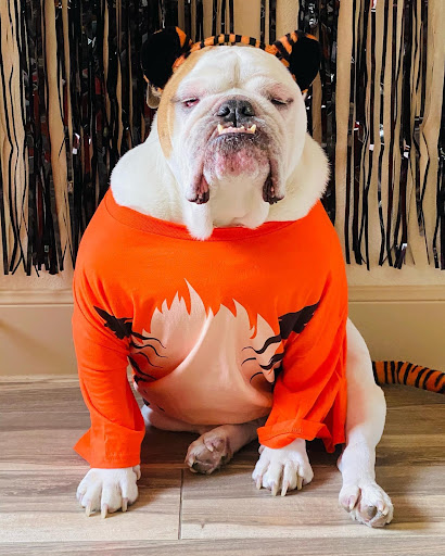 Park «McAllister Park», reviews and photos, 13102 Jones Maltsberger Rd, San Antonio, TX 78247, USA