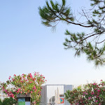 Photo n°4 de l'avis de Giacomo.u fait le 16/07/2023 à 19:04 sur le  Camping S'Ena Arrubia à Arborea