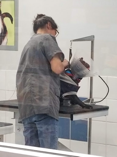 Pet Supply Store «Petco Animal Supplies», reviews and photos, 3320 Stockton Hill Rd, Kingman, AZ 86409, USA