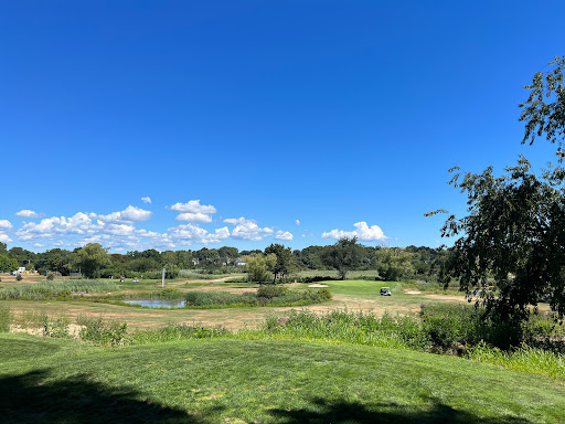 Tree Maintenance Nahant