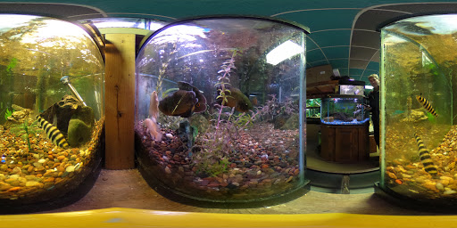 Pet Store «Aqualand Aquarium Center», reviews and photos, 5355 Chicago Ave, Minneapolis, MN 55417, USA