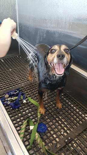 Pet Supply Store «Pet Supplies Plus», reviews and photos, 2157 Penfield Rd, Penfield, NY 14526, USA