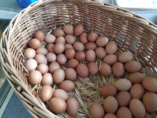 Ferme des 12 Bonniers