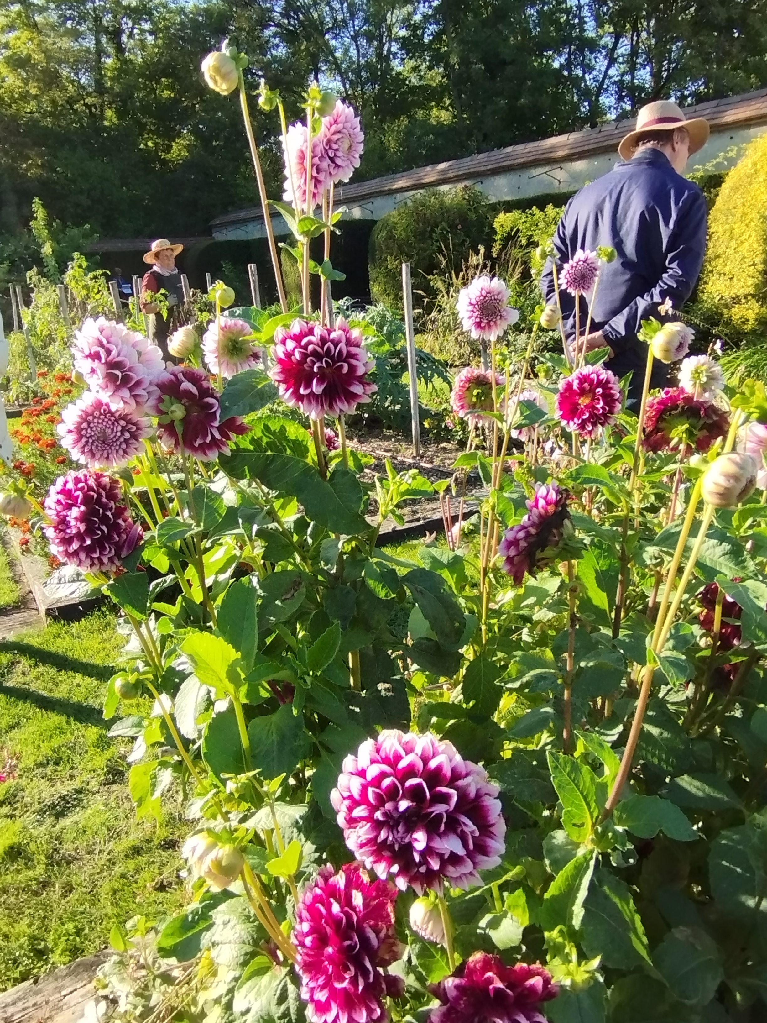 Photo n° 5 de l'avis de Régine.O fait le 23/09/2022 à 14:54