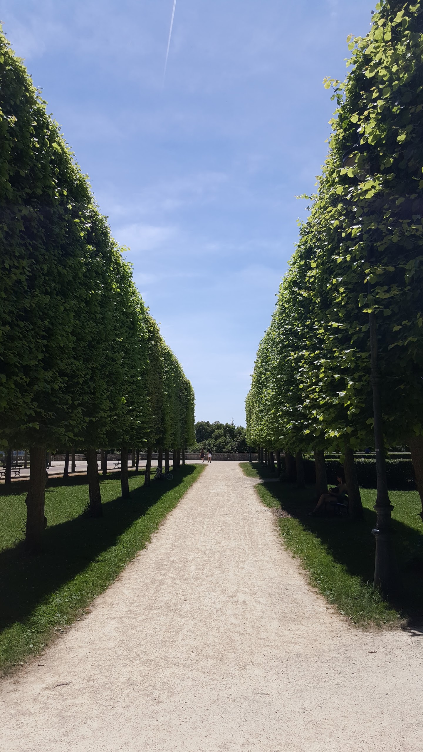 Photo n° 2 de l'avis de Mickaël.e fait le 11/07/2016 à 08:58