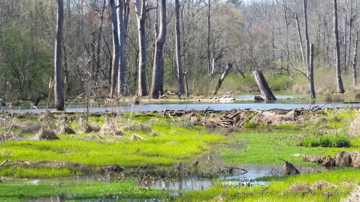 Nature Preserve «Melvin L. Newman Wetlands Center», reviews and photos, 2755 Freeman Rd, Hampton, GA 30228, USA