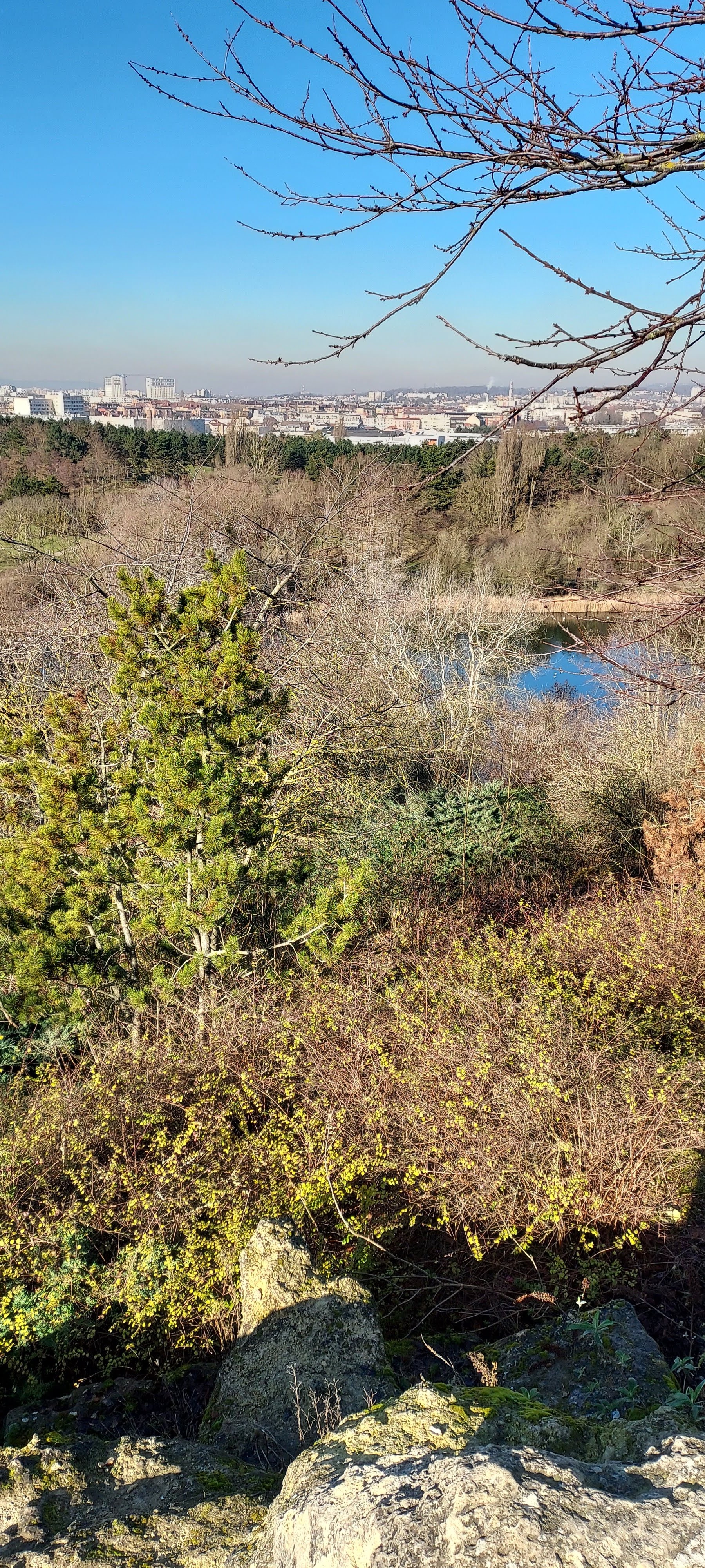 Photo n° 2 de l'avis de Didier.a fait le 13/11/2021 à 13:31