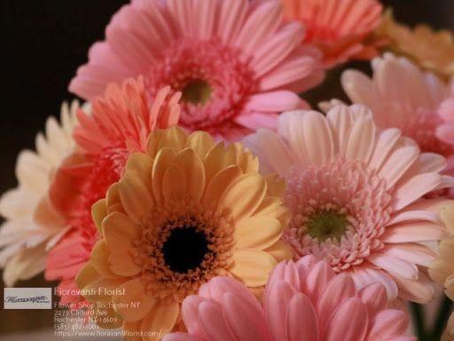 Florist «Fioravanti Florist», reviews and photos, 2279 Clifford Ave, Rochester, NY 14609, USA