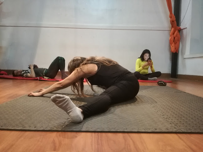 Comentarii opinii despre Dinamik pole sport