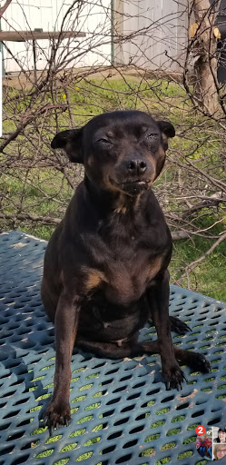 3223 W 13th St N, Wichita, KS 67203, USA