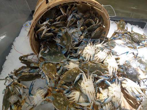 Shopping Mall «Brookside Plaza», reviews and photos, 10-38 Hazard Ave, Enfield, CT 06082, USA