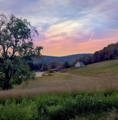 Winery «pailshop vineyards», reviews and photos, 126 Goose St, Fly Creek, NY 13337, USA