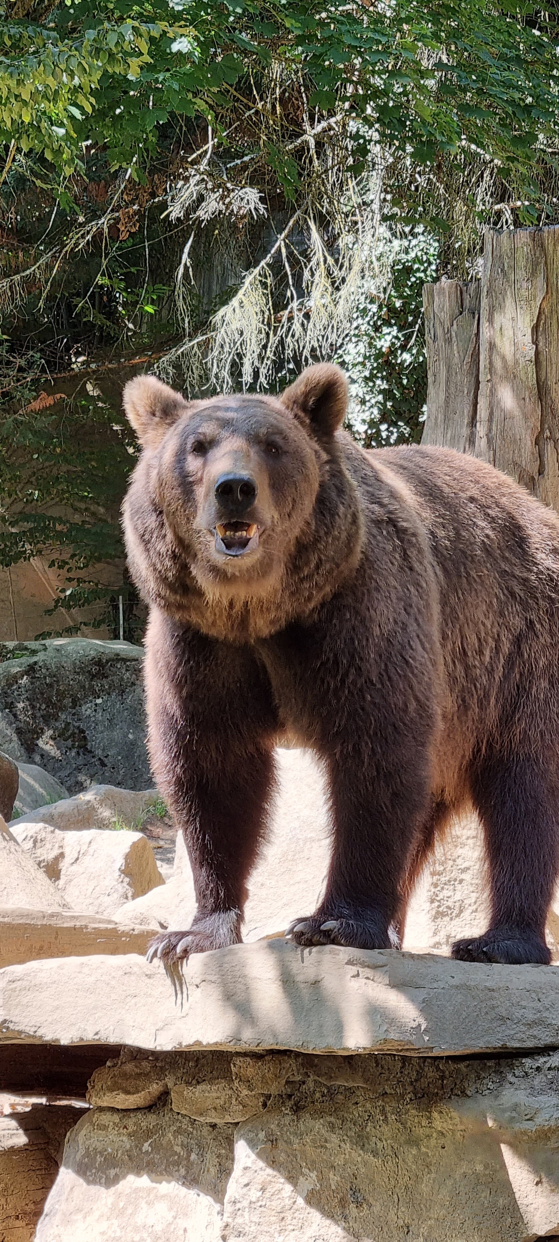 Photo n° 3 de l'avis de Steve.A fait le 27/08/2021 à 11:27