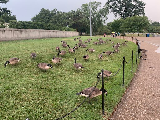 Monument «Thomas Jefferson Memorial», reviews and photos, 701 E Basin Dr SW, Washington, DC 20242, USA