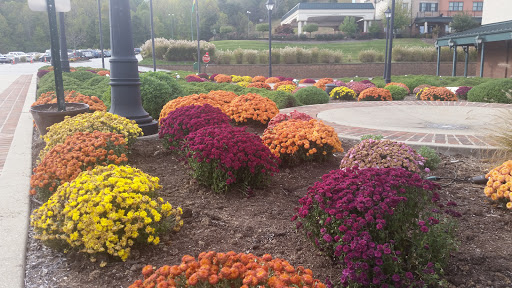 Resort «Mardi Gras Casino & Resort», reviews and photos, Greyhound Dr, Cross Lanes, WV 25313, USA