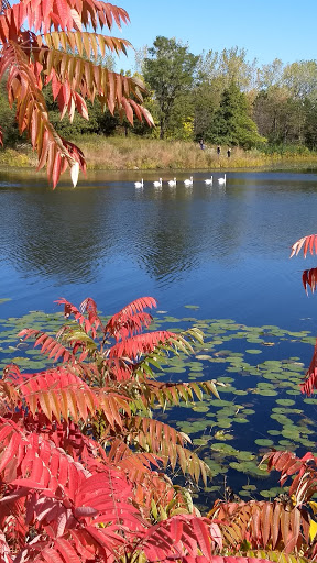 Botanical Garden «Lake Katherine Nature Center and Botanic Gardens», reviews and photos, 7402 Lake Katherine Dr, Palos Heights, IL 60463, USA