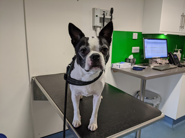 Pets'n'Vets in Glasgow - The Roundhouse Veterinary Hospital - Glasgow