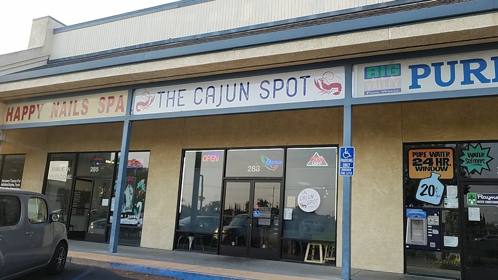 The Cajun Spot 95336