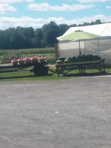 Produce Market «Rush Vegetables», reviews and photos, 2120 Eagle Harbor Waterport Rd, Albion, NY 14411, USA