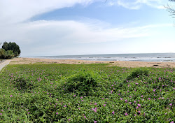 Valapad Beach'in fotoğrafı ve yerleşim