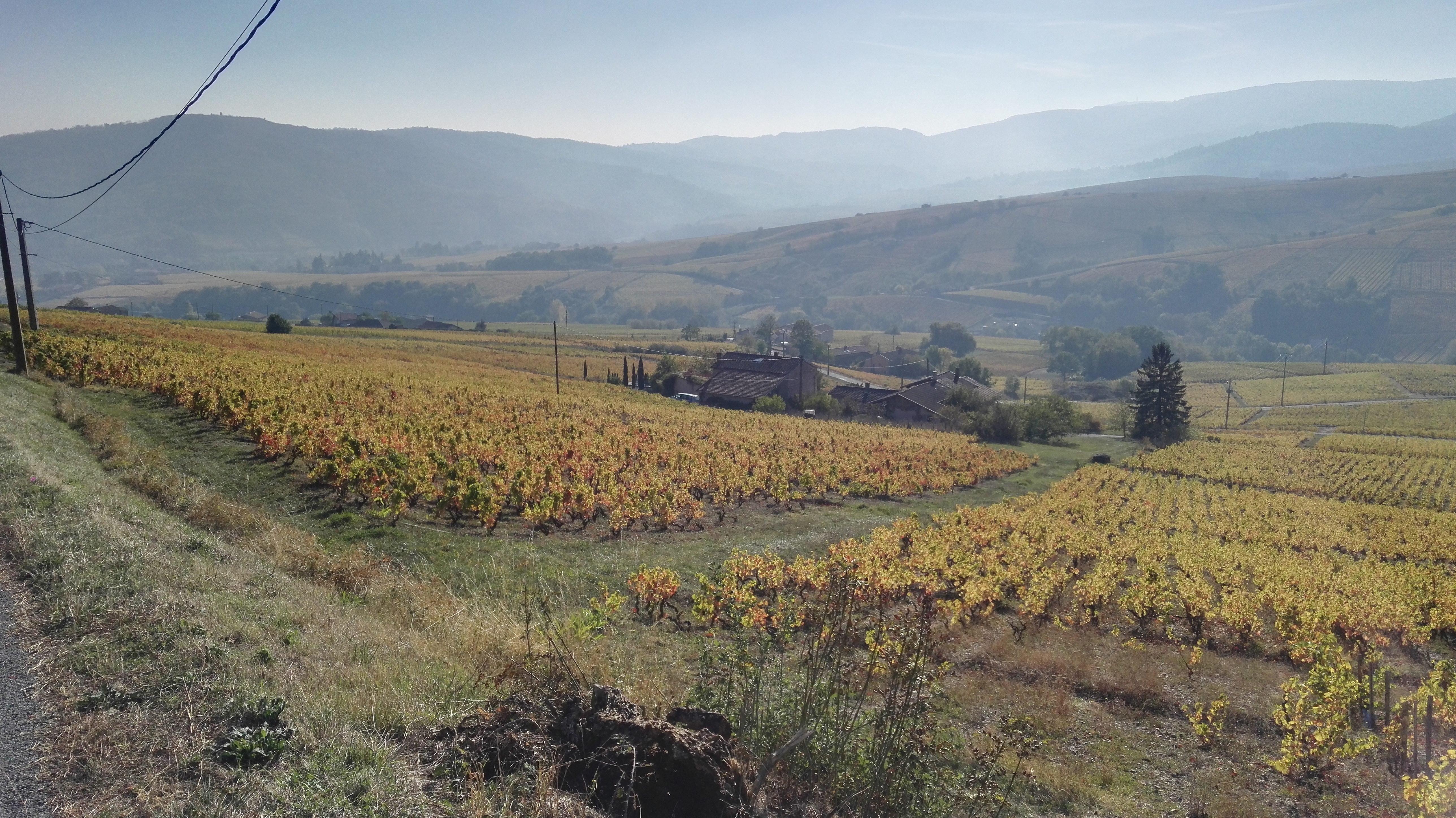 Photo n° 16 de l'avis de Christophe.e fait le 21/10/2018 à 18:48