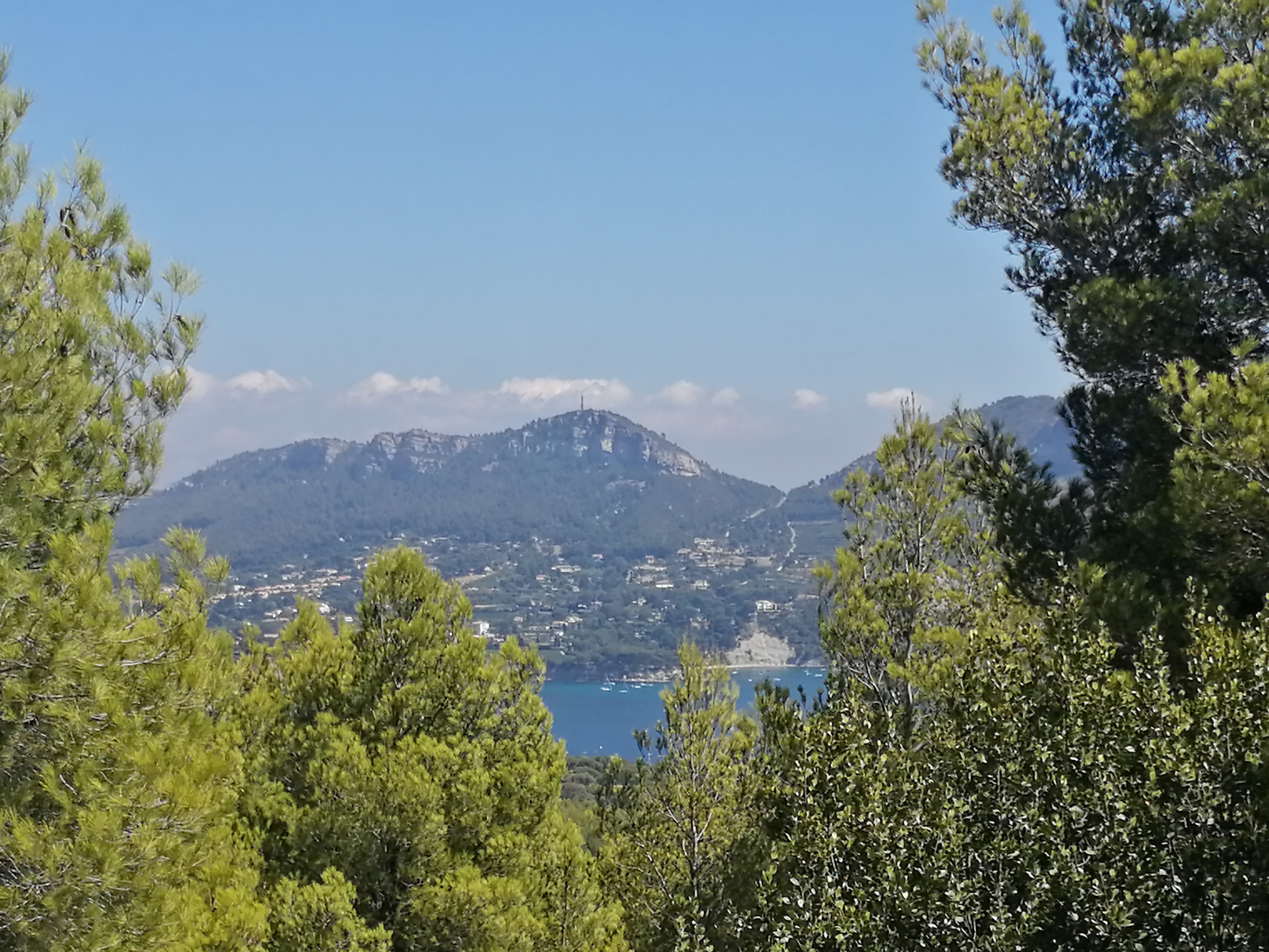 Photo n° 4 de l'avis de Noé. fait le 25/08/2020 à 23:09