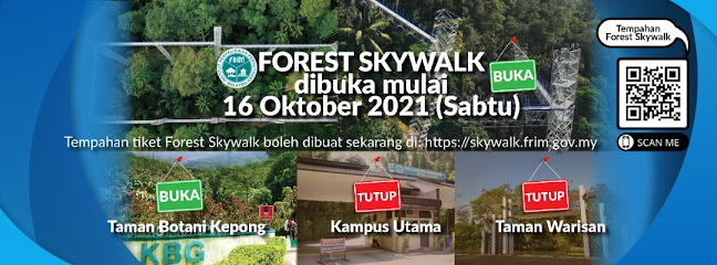 Forest Skywalk - FRIM