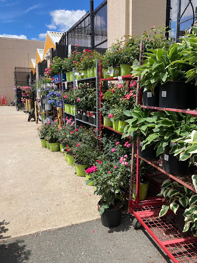 Home Improvement Store «The Home Depot», reviews and photos, 244 US-202, Flemington, NJ 08822, USA