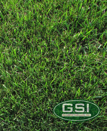 Grounds Services, Inc. Lawn Fertilization, Weed Control & Chemical Lawn Care Services