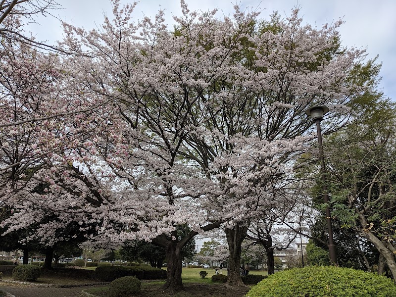 簗下中央公園