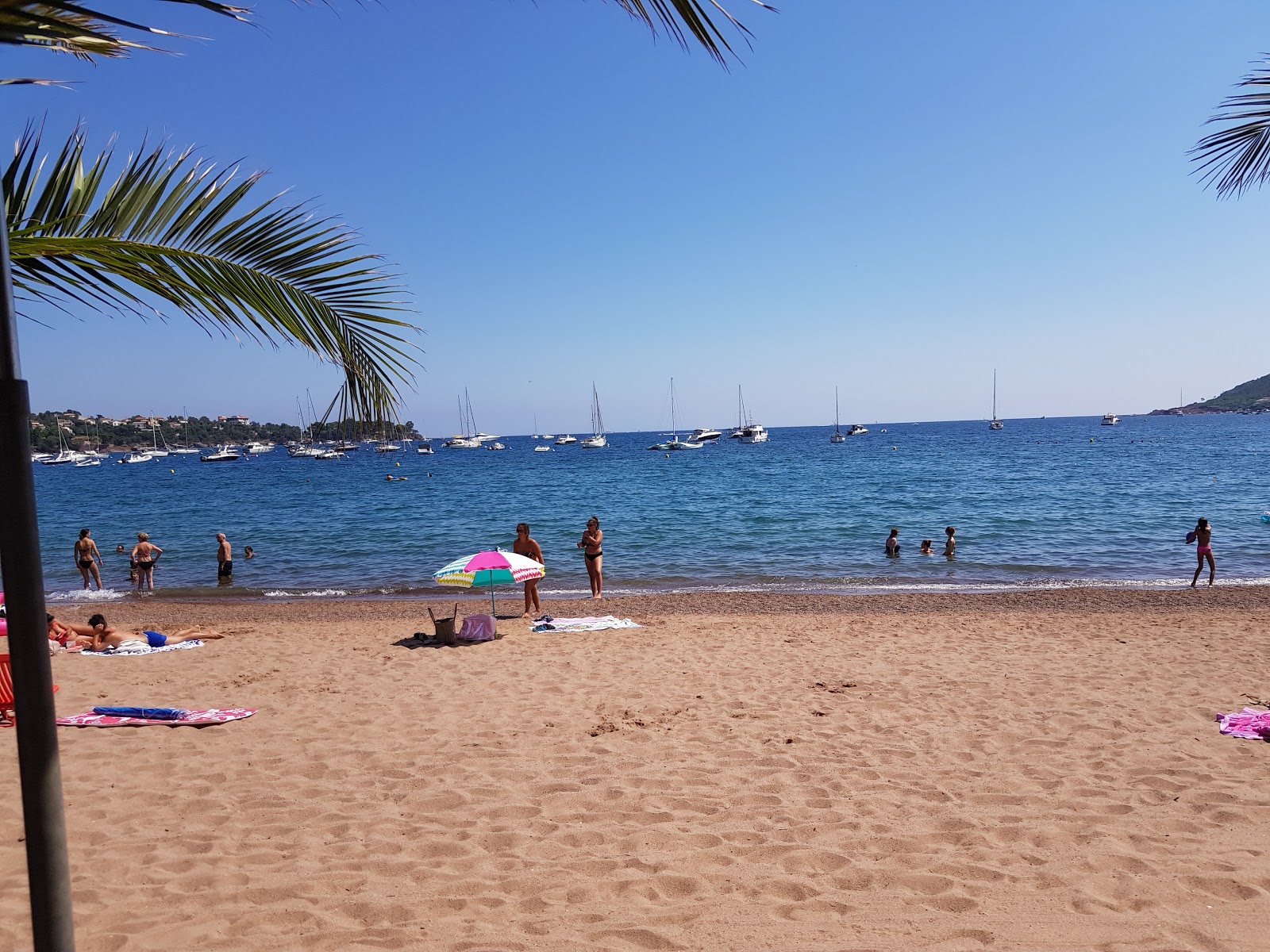 Foto di Spiaggia di Agay e l'insediamento
