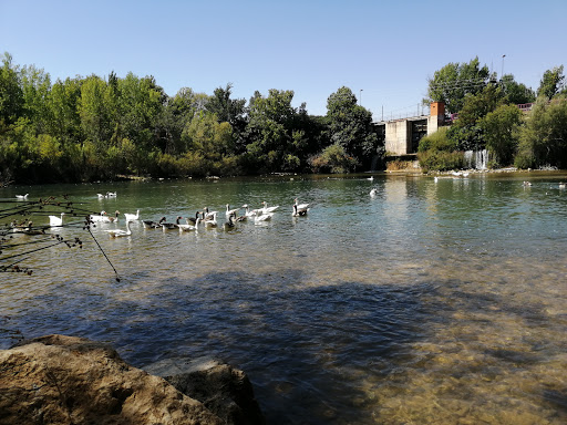 Parque Municipal Hondo del Rio - Av. Príncipe de España, 02636 Villalgordo del Júcar, Albacete, España