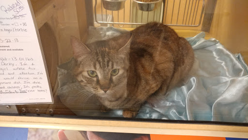 Pet Supply Store «PetSmart», reviews and photos, 16086 Jackson Creek Pkwy, Monument, CO 80132, USA