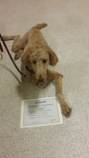 Pet Supply Store «PetSmart», reviews and photos, 23470 Allen Rd, Woodhaven, MI 48183, USA