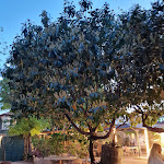 Photo n°2 de l'avis de Carlo.a fait le 19/04/2023 à 06:57 sur le  CasaGoffi à Turin